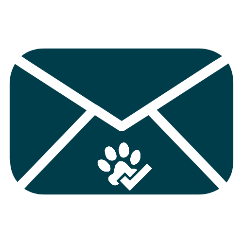 Dog Walking & Pet Sitting Services Dublin Pet Sitters Ireland