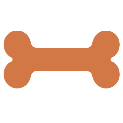 Dog Walking & Pet Sitting Services Dublin Pet Sitters Ireland
