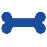 Pet Care Services Dublin