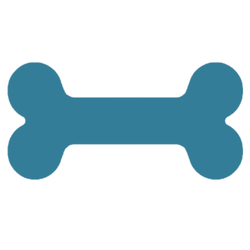 Pet Care Services Dublin