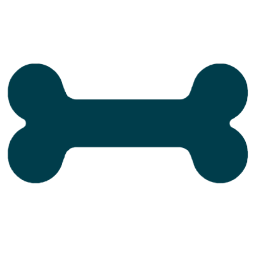 Dog Walking & Pet Sitting Services Dublin Pet Sitters Ireland